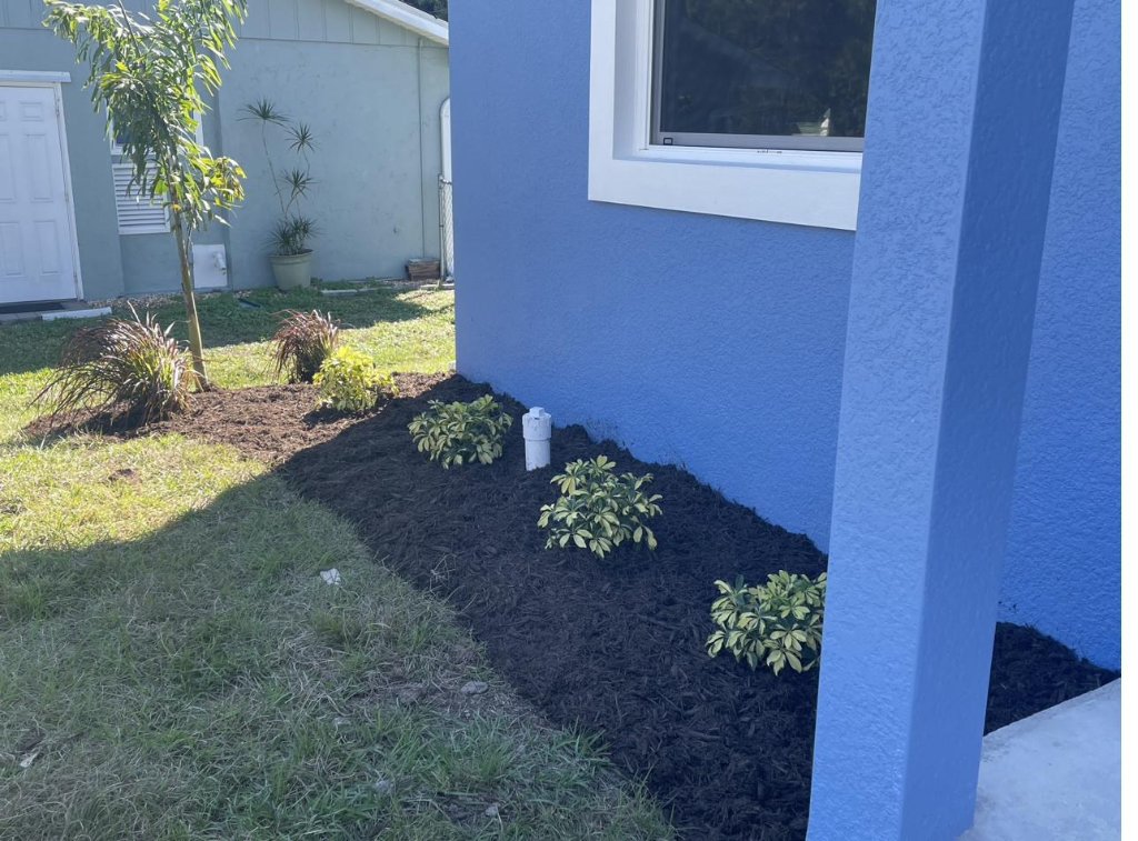 Florida Home full build photo 6