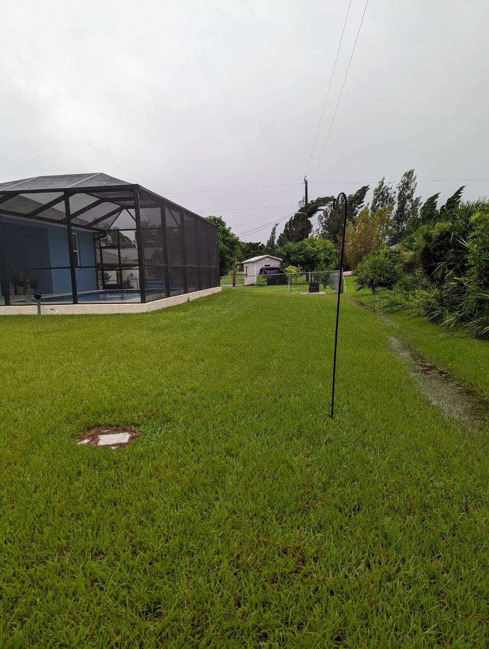 Florida Home pool photo 11