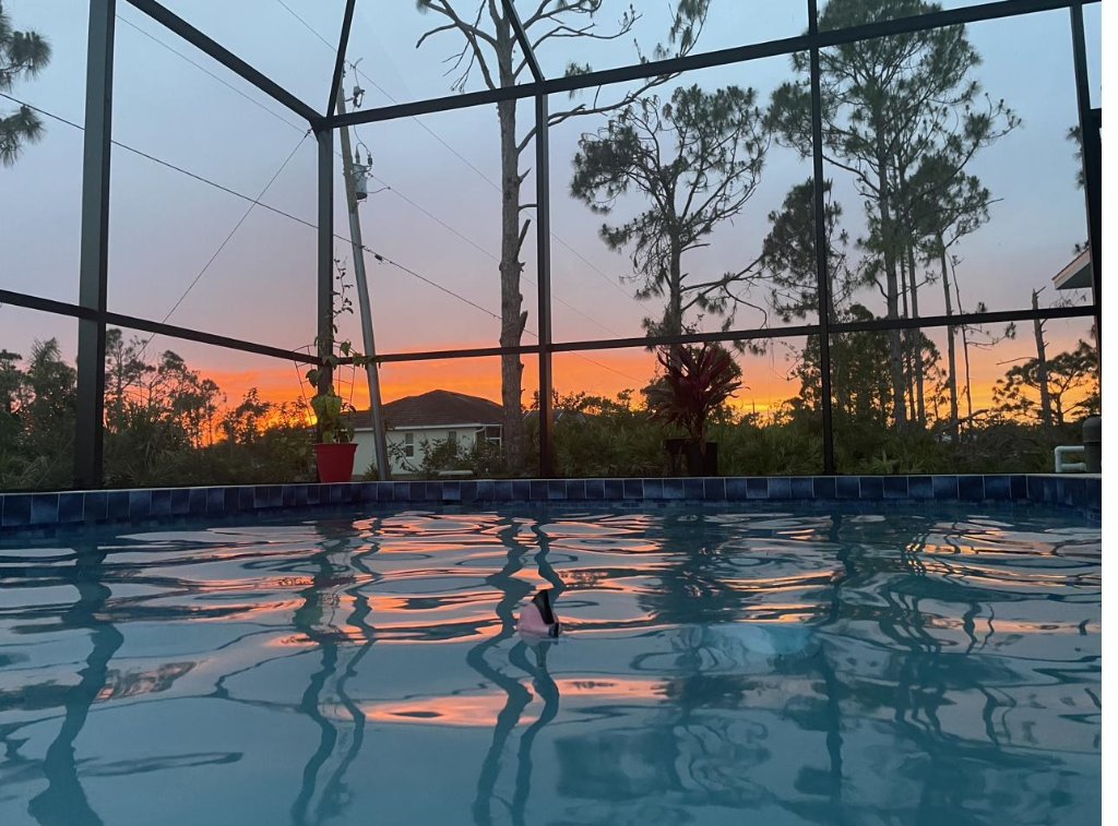 Florida Home pool photo 5