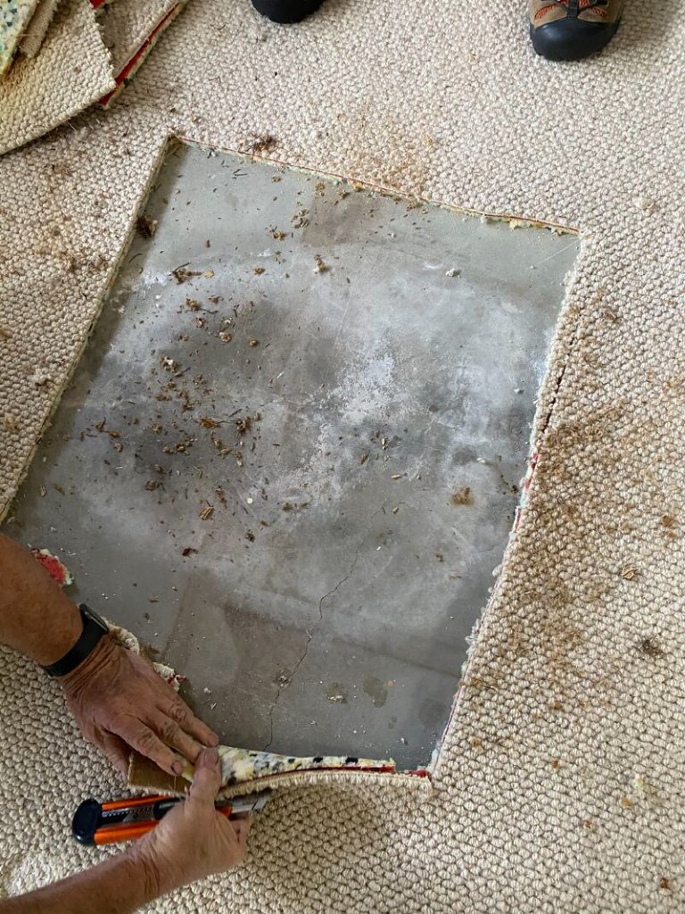 Carpet & Slab Moisture