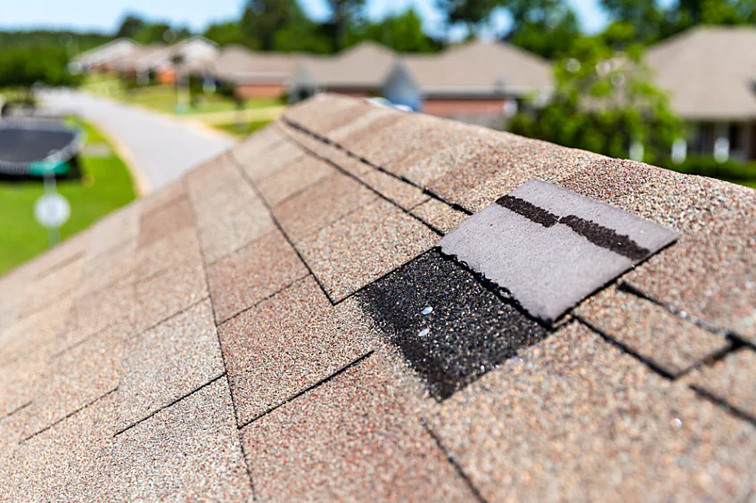 A few missing or cracked shingles