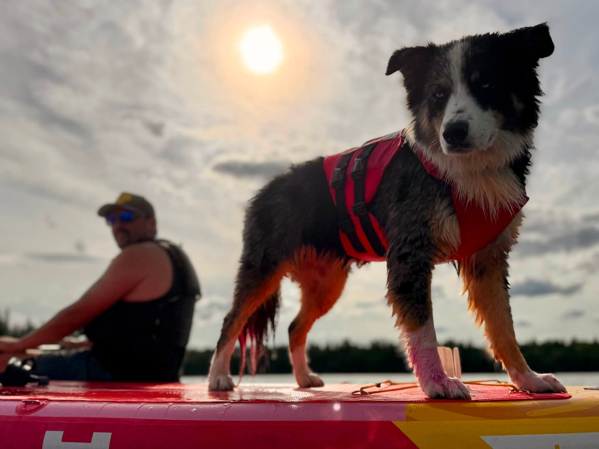 Swimming / paddleboarding