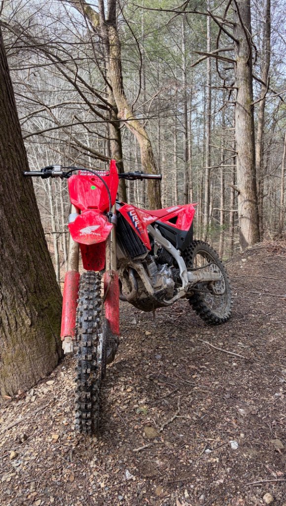 Honda in the woods
