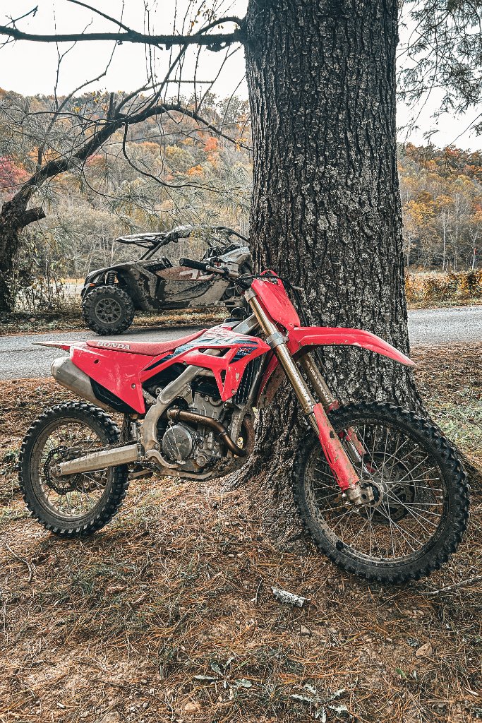 Honda CRF leaned against a tree