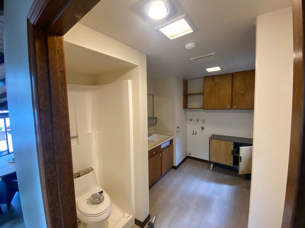 Before — original fiberglass shower stall with toilet and vanity