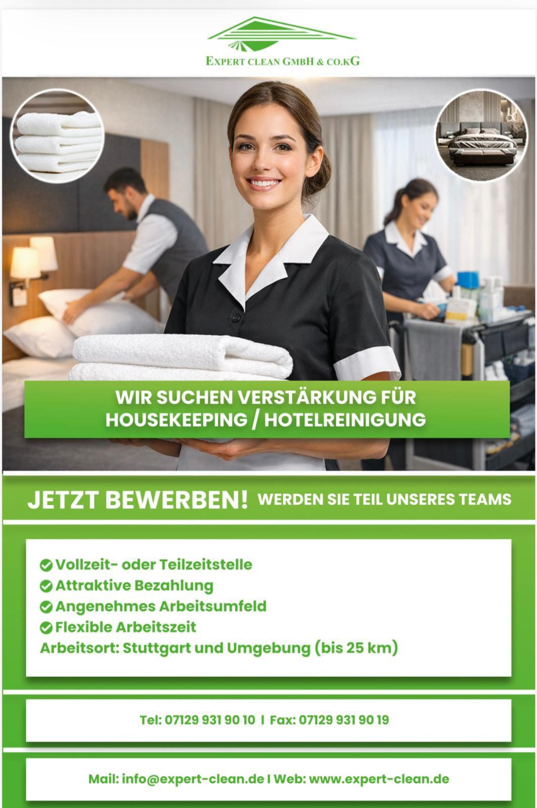 Expert Clean Team