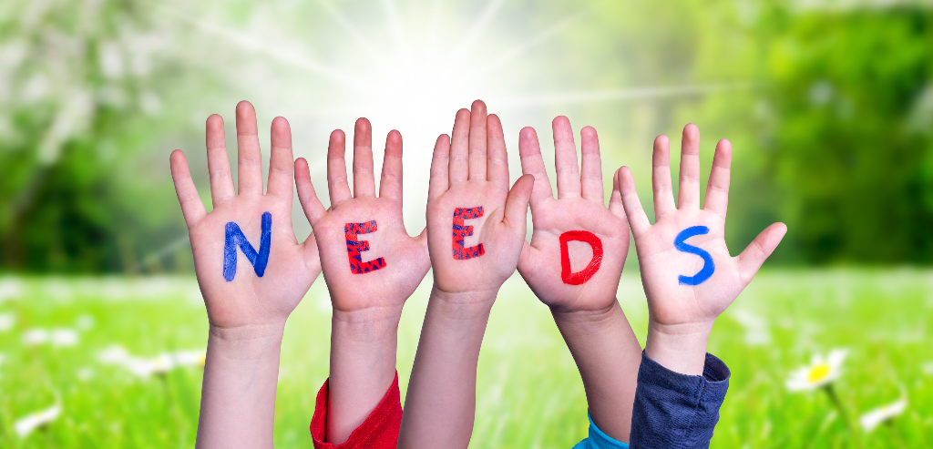 Special Educational Needs