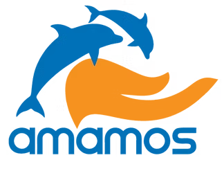 Amamos