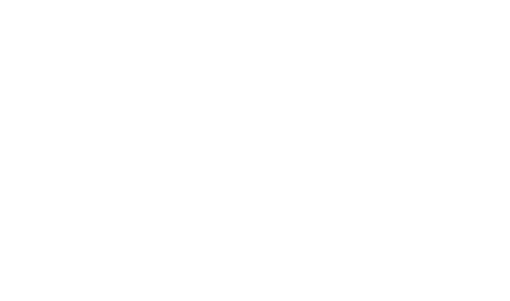 Sierra Roofing