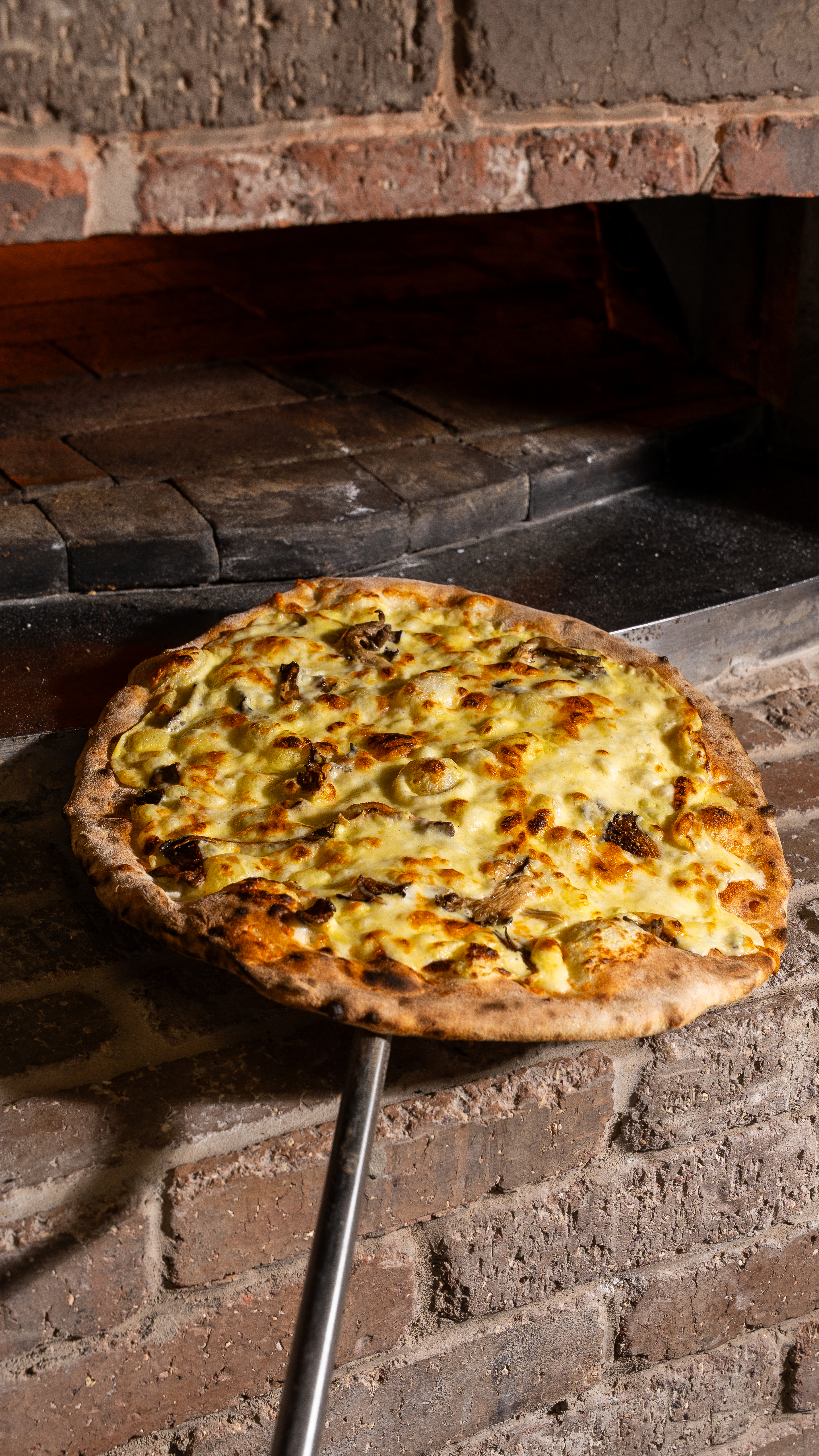 Kosher pizza from brick oven