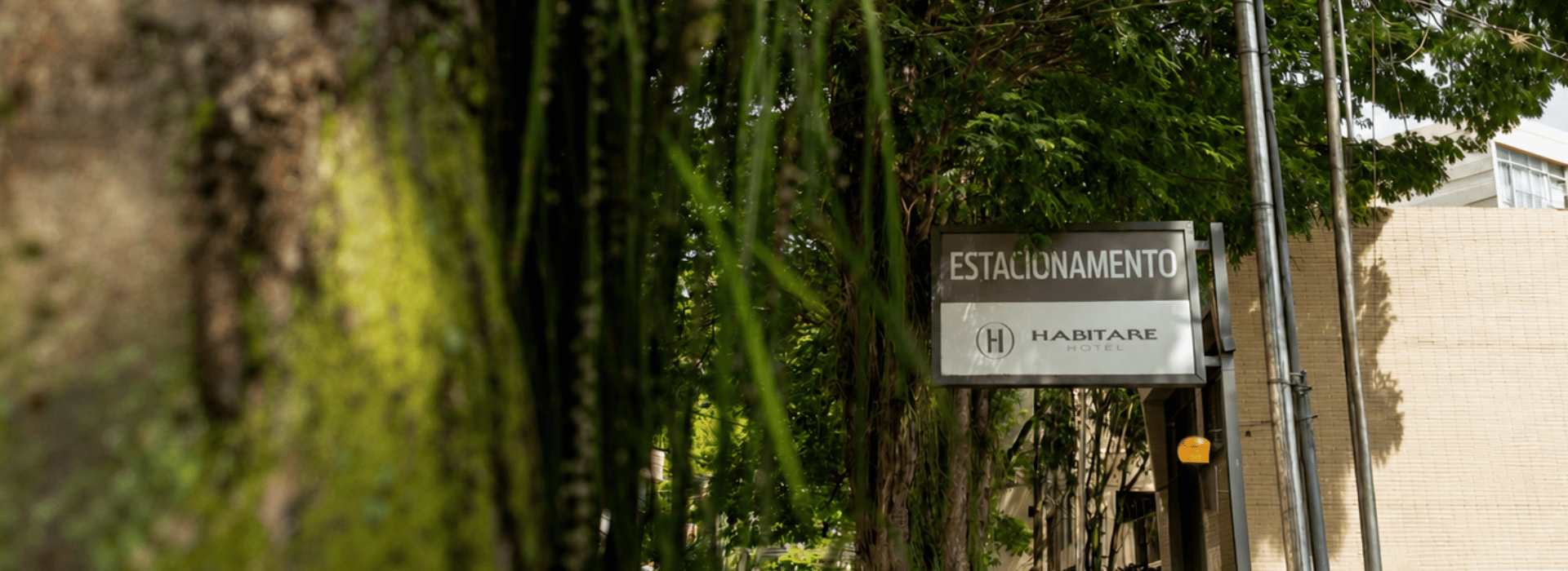 Sustentabilidade