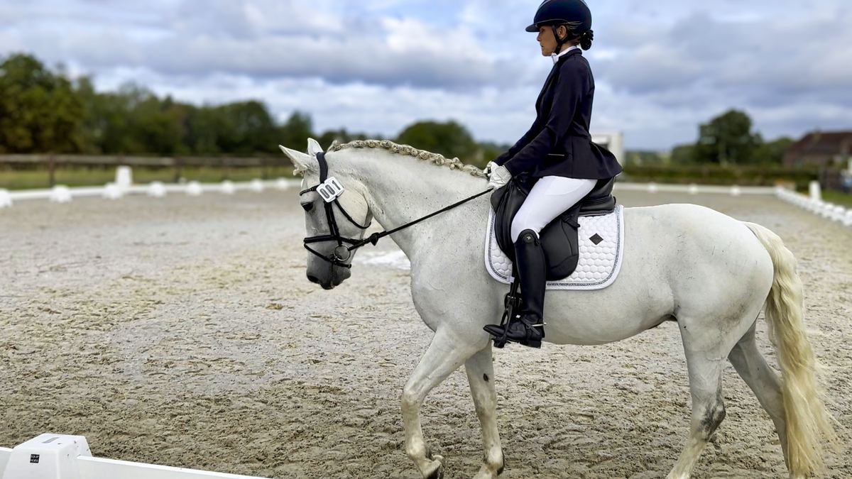 Concours de dressage raté : le jour où j'ai monté une anguille
