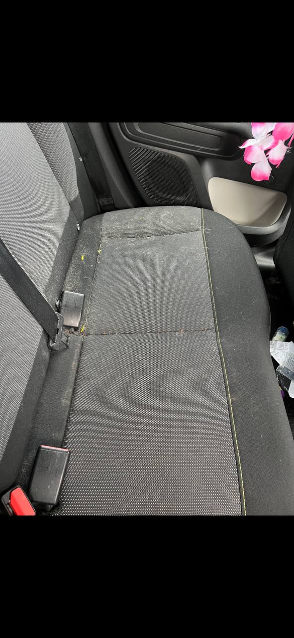 Car backseat covered in pet hair before professional removal by NeatAuto in Sligo