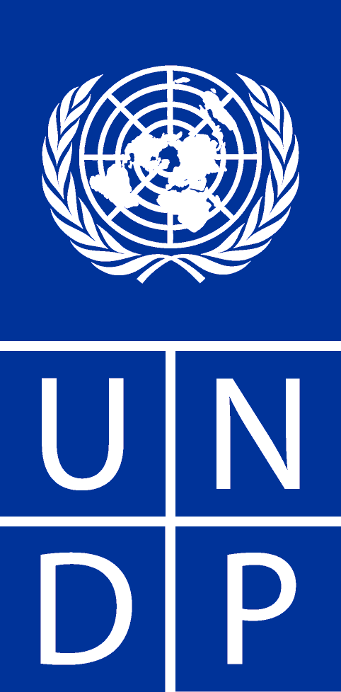 UNDP UNDP