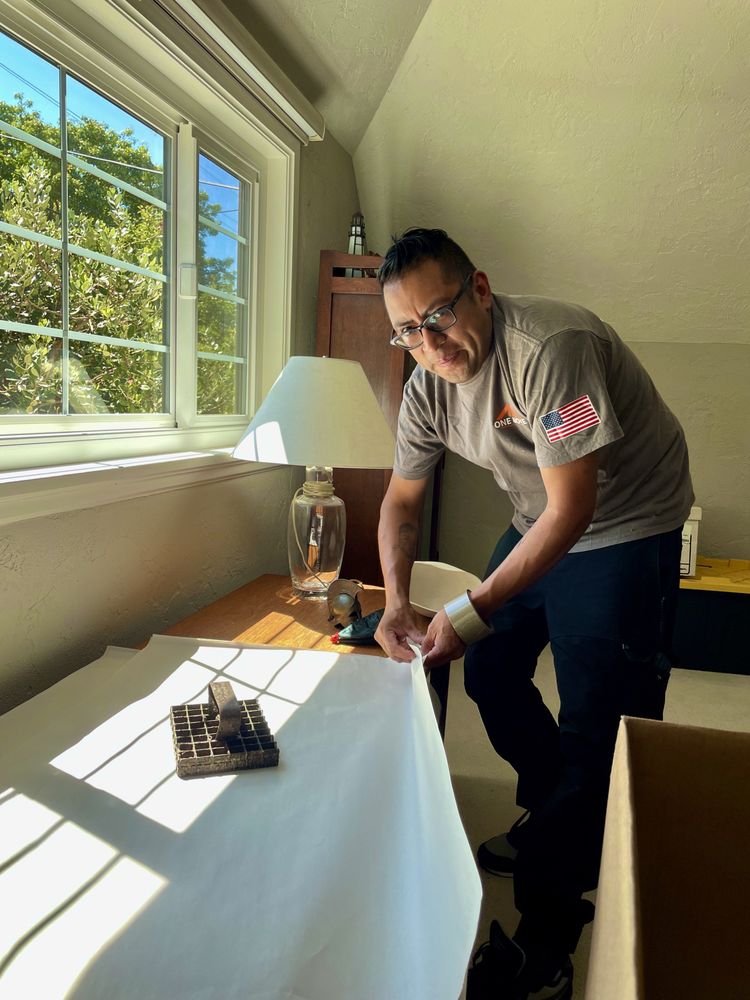 One Move Movers professional at work