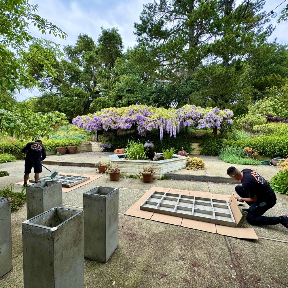 How to Move Plants Without Damaging Them
