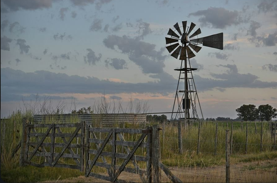 Campo al amanecer