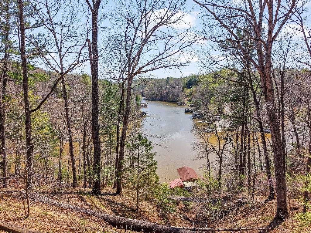 View from porch