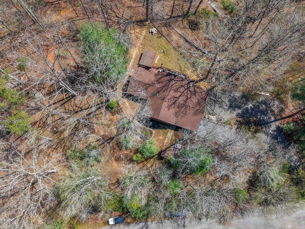 Aerial roof view