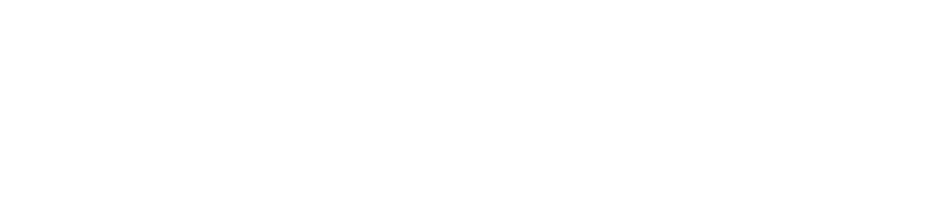 FiscalFusion Partner Programme