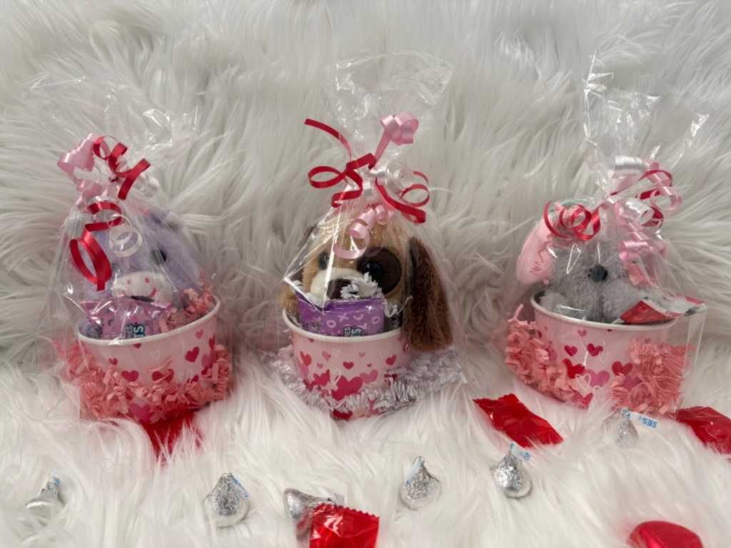Valentine's Day Stuffed Animal Cup Sets