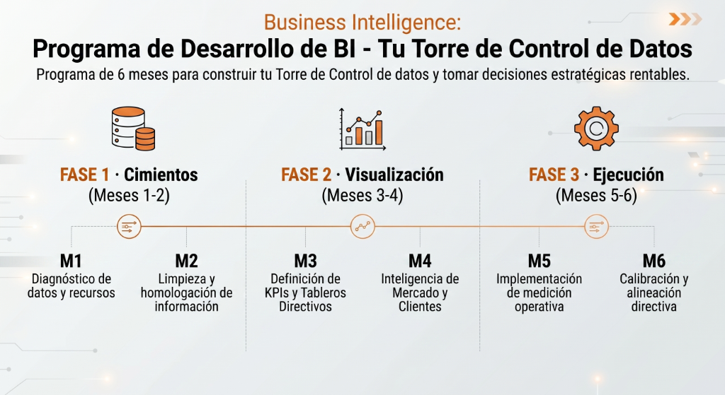 Programa de Desarrollo de BI