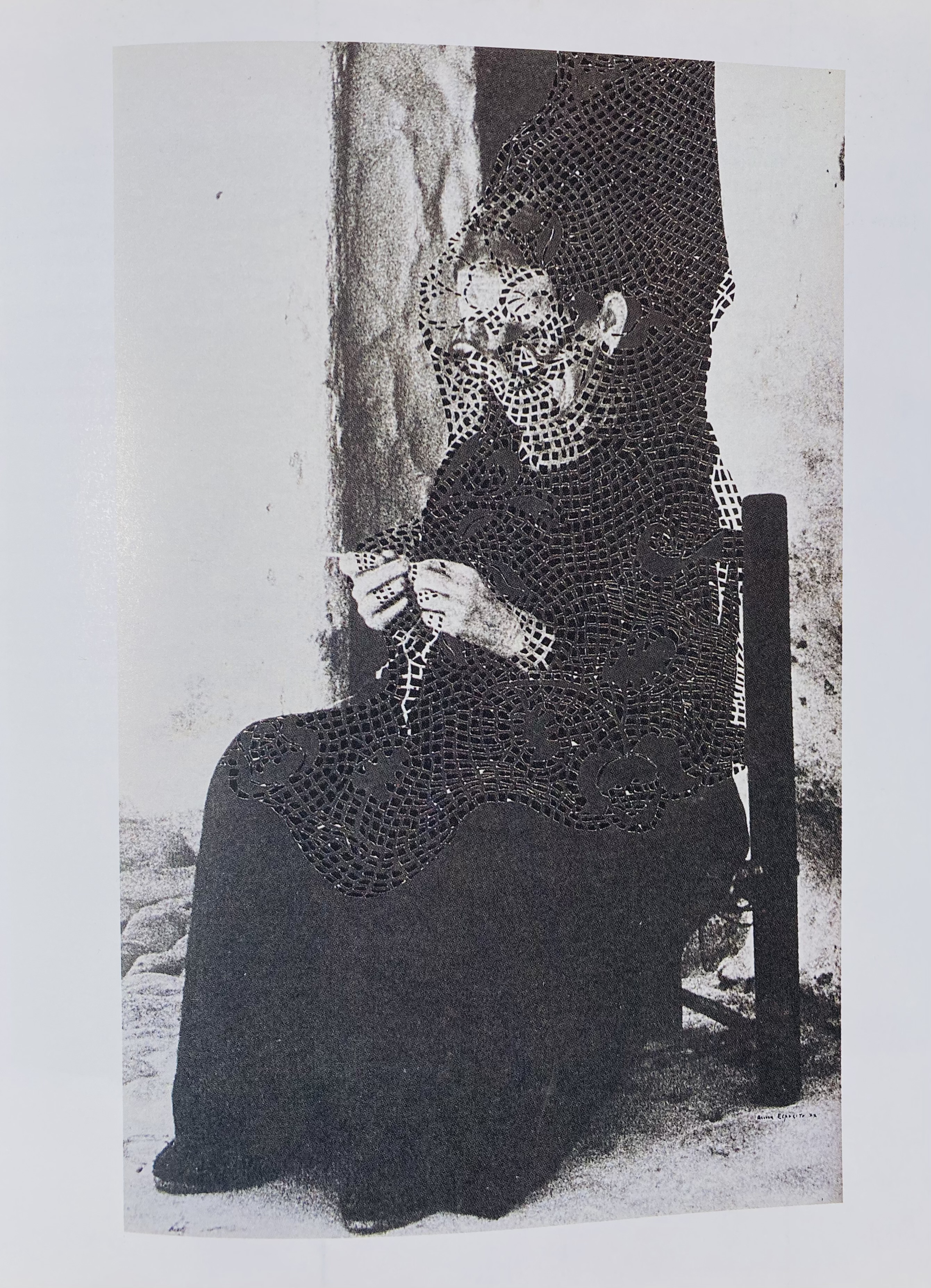 Simbiosi — Anna Esposito