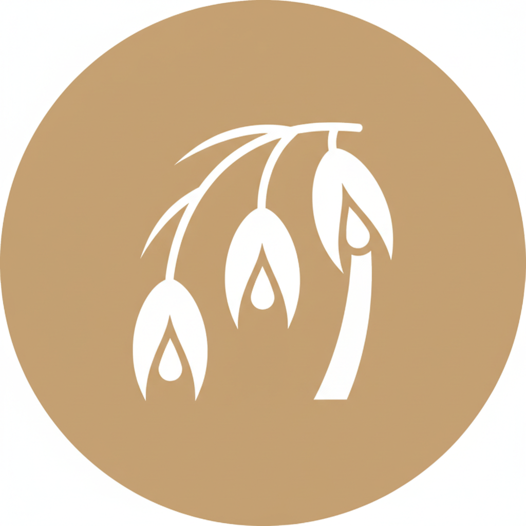 Kaura