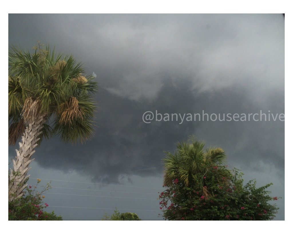 Stormy sky over palms and bougainvillea