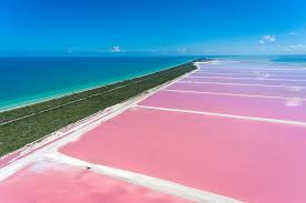 Salt Flats in Bonaire