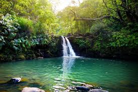 Hawaii Waterfalls