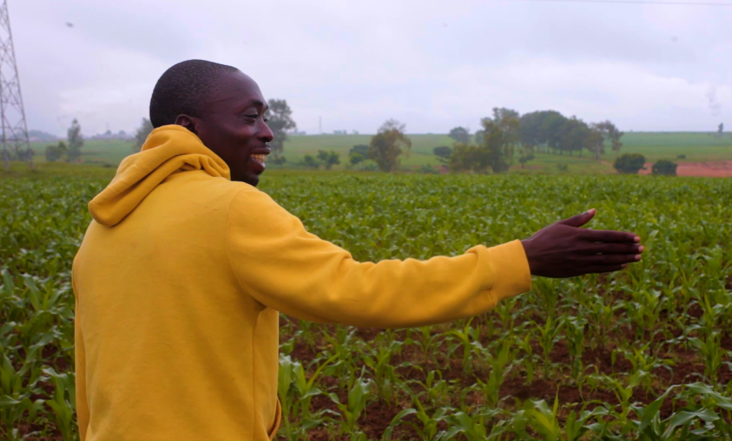 Nigeria: Over 330 Acres Cultivated in Nigeria's Conflict Zone