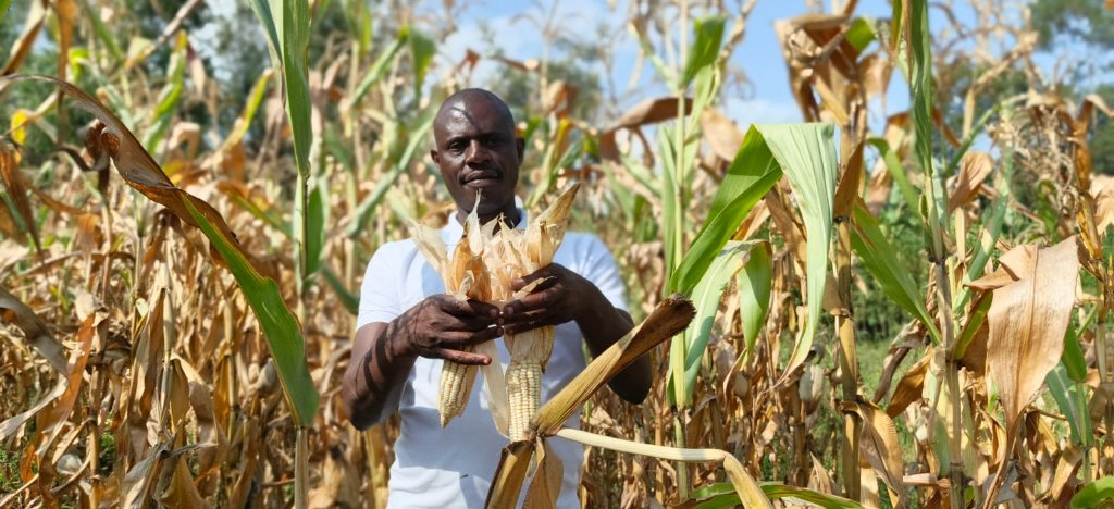 Planting Hope in Kenya: Growing Food, Strengthening Families
