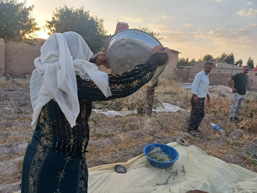 Syria: Seeds, Shelter, and Steadfast Faith — Standing with Christian Communities in Crisis