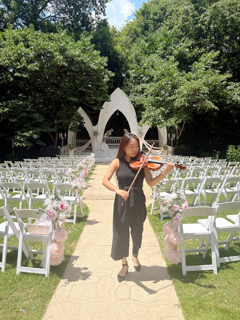 Pearl Violin — Pearlnote wedding musicians