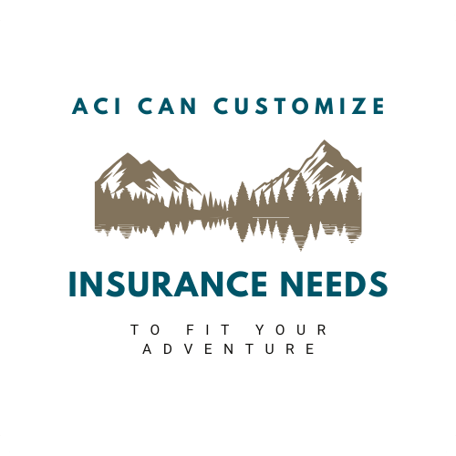 ACI Customize Needs