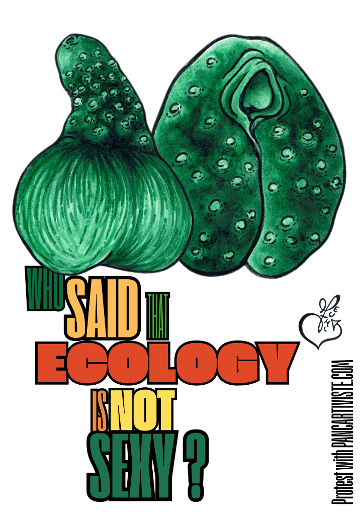 Who Said That Ecology Is Not Sexy?