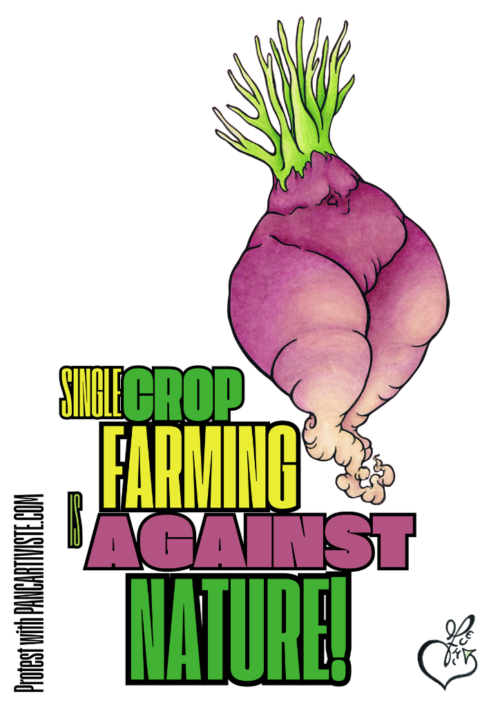 Single Crop Farming is Against Nature!