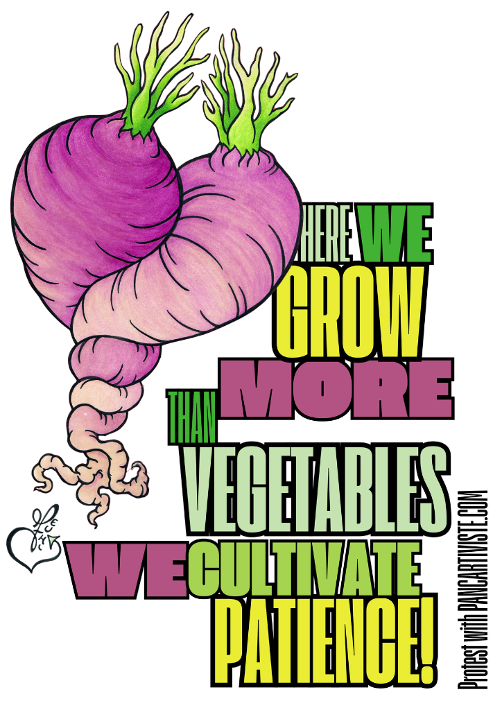 Here We Grow More Than Vegetables — We Cultivate Patience!