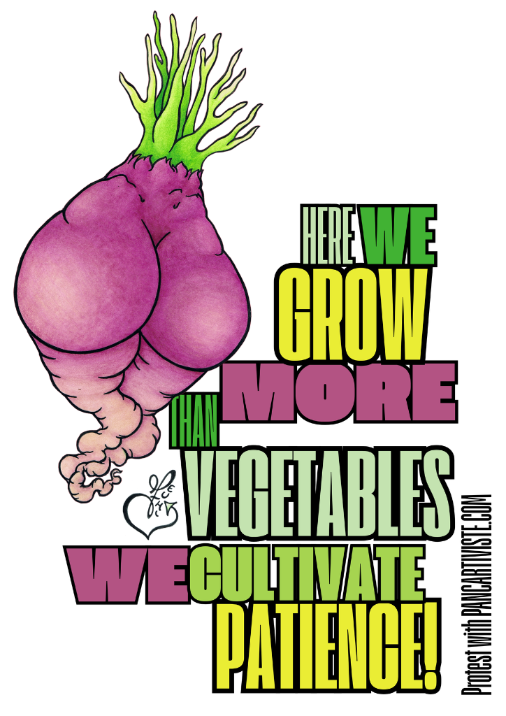 Here We Grow More Than Vegetables — We Cultivate Patience!