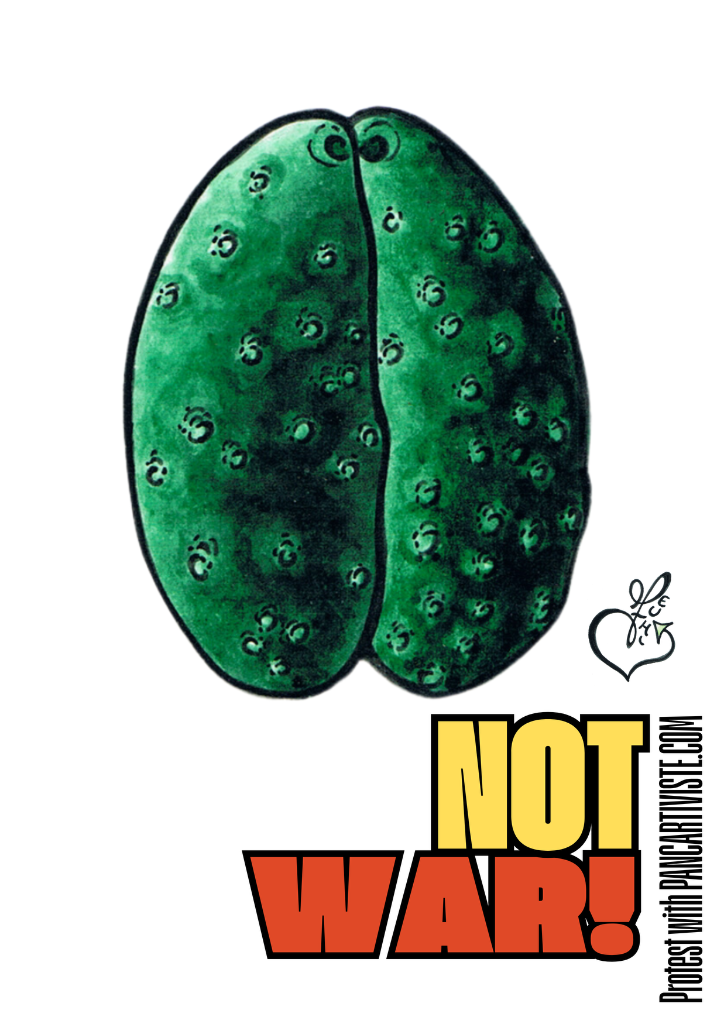 Not War!