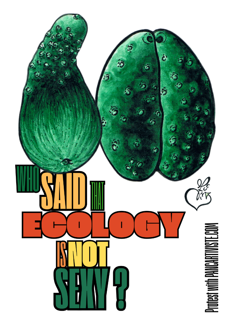 Who Said That Ecology Is Not Sexy?