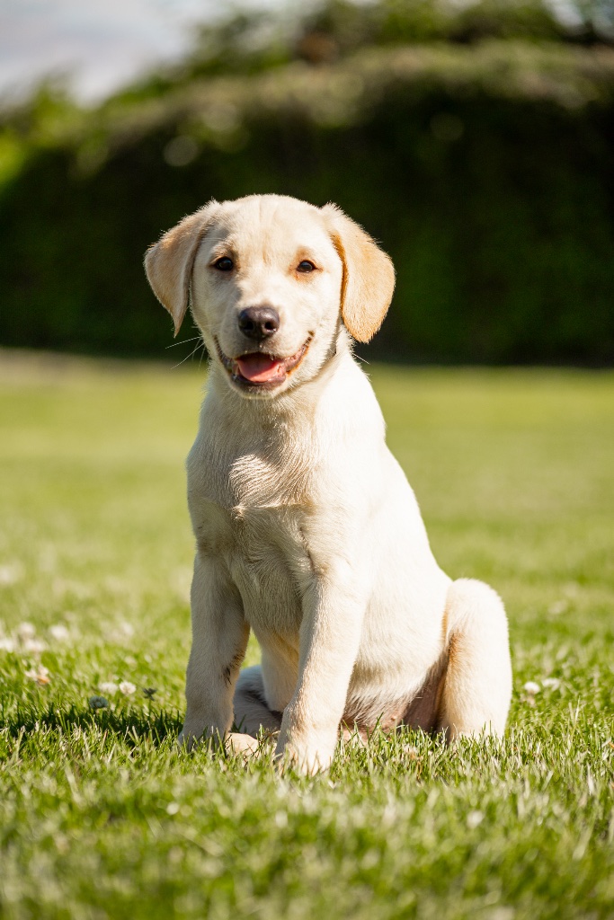 Oakley