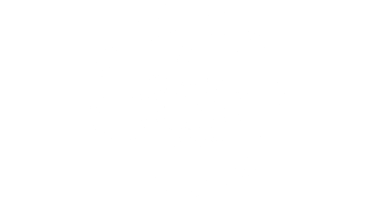 Old City Pub & Pension