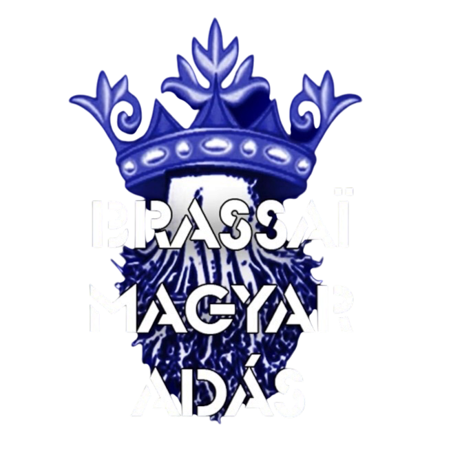 Brassaï Magyar Adás