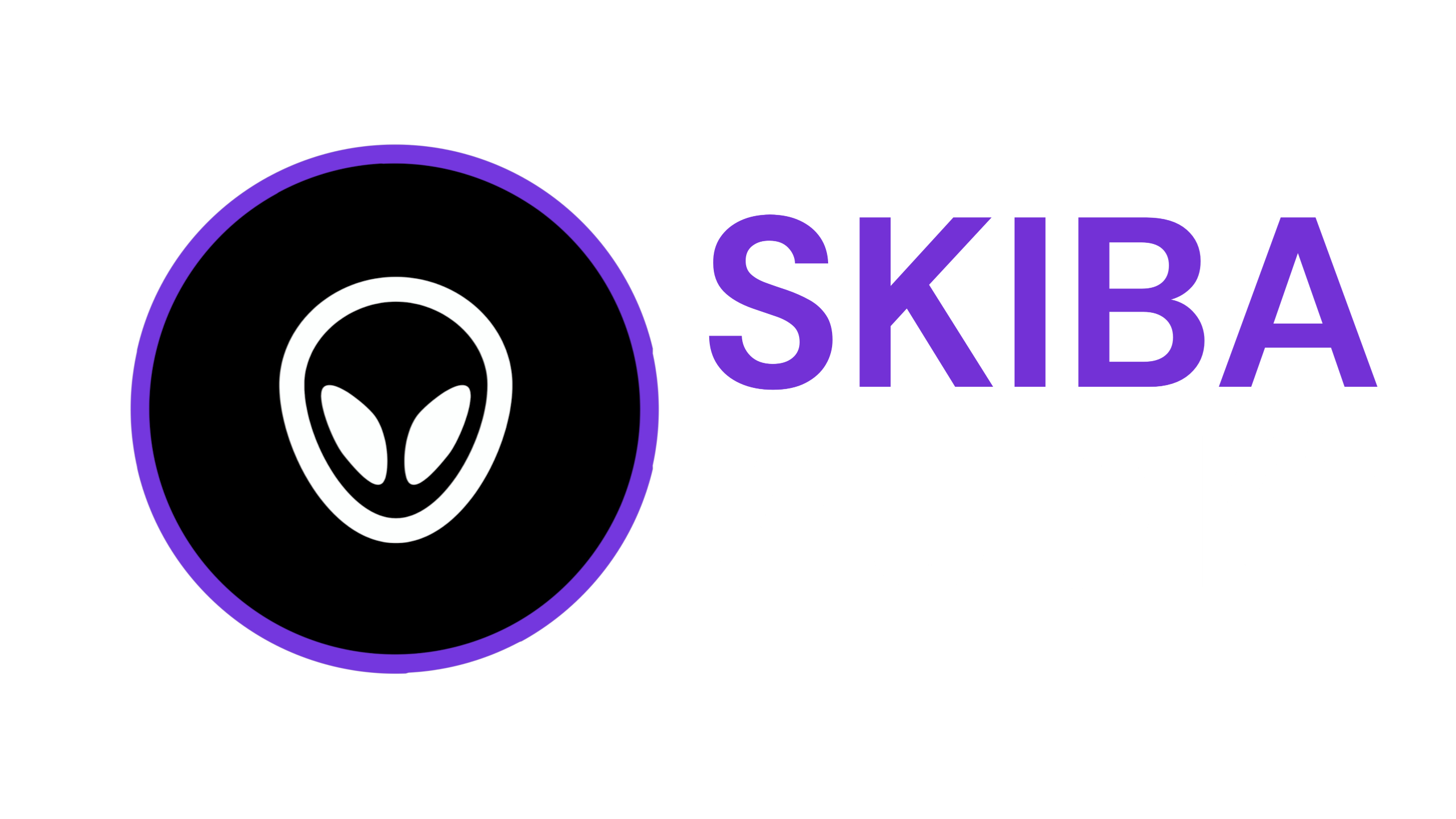 Skibaaudio
