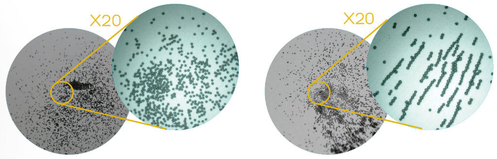 AMAG pellets orientation comparison