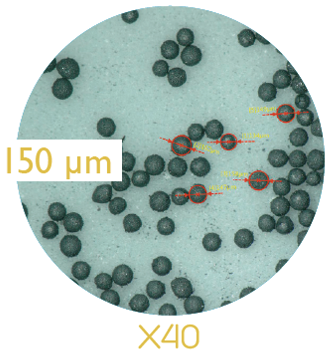 150 µm pellets microscopy