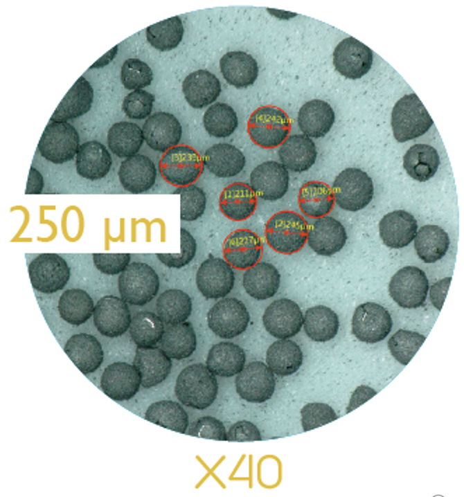 250 µm pellets microscopy