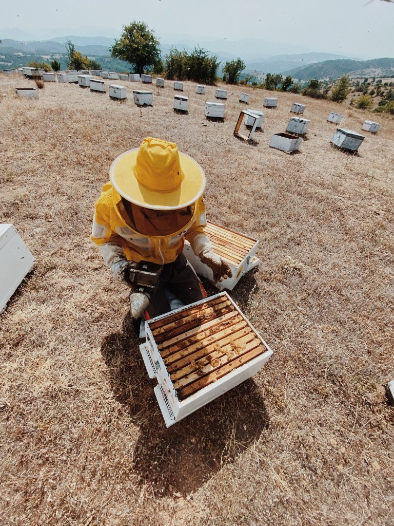 Philomelia beekeeper in the Greek landscape